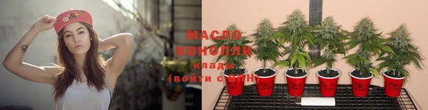 меф VHQ Дмитриев