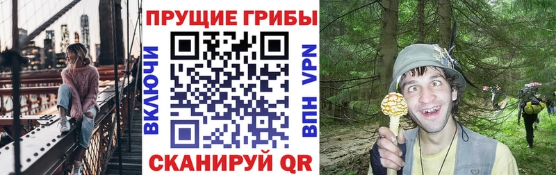 Купить где  Щёлкино  Галлюциногенные грибы Magic Shrooms 